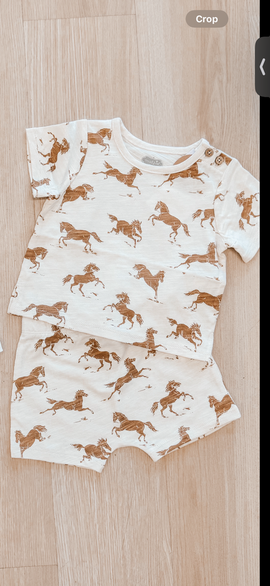 Horse short set