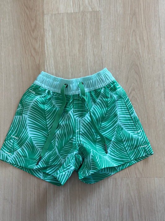 Royal palm trunks